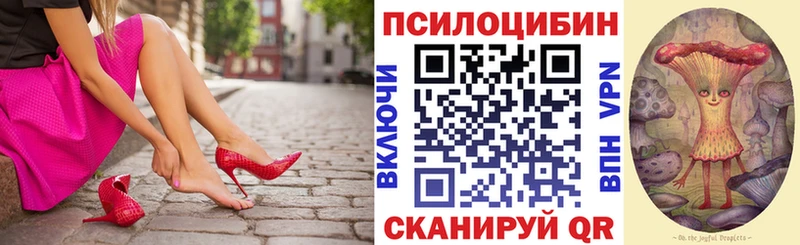 Псилоцибиновые грибы мицелий  omg как войти  Новоузенск  купить закладку 